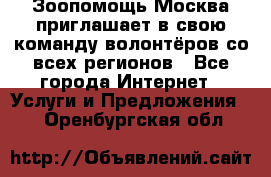 Зоопомощь.Москва приглашает в свою команду волонтёров со всех регионов - Все города Интернет » Услуги и Предложения   . Оренбургская обл.